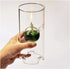 Adsled Clear Glass Oil Light Borosilicate Includes Bliss Suspended Hurricane Candle Holder Sleeve Paraffin Lamp 18CM
