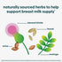 UpSpring Milkflow Breastfeeding Supplement Capsules with Moringa & Blessed Thistle | Fenugreek-Free | Lactation Supplement to Promote Healthy Breast Milk Supply | 60 Capsules