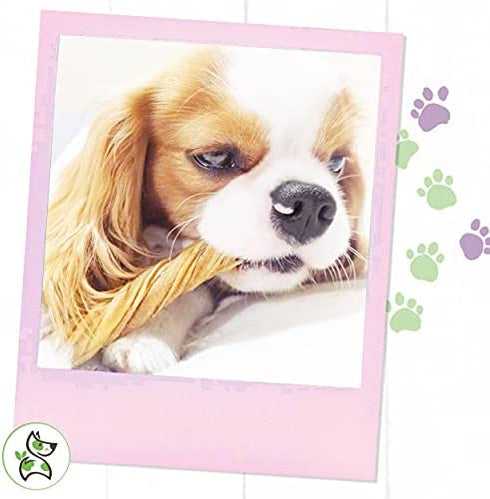 Nature Gnaws Tripe Twists for Dogs - Premium Natural Beef Sticks - Simple Single Ingredient Crunchy Dog Chew Treats - Rawhide Free