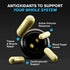 Quercetin 500mg Supplement with Sambucus Elderberry, Bromelain, Vitamin C, Zinc 50mg, & Vitamin D3 5000 IU - Antioxidant & Immune Health Zinc Quercetin - 6 in 1 Black Elderberry Supplement for Adults