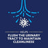 AZO D-Mannose Urinary Tract Health, Cleanse, Flush & Protect The Urinary Tract*, #1 Pharmacist Recommended Brand, Clinical Strength D-Mannose, Non-GMO, 120 Count