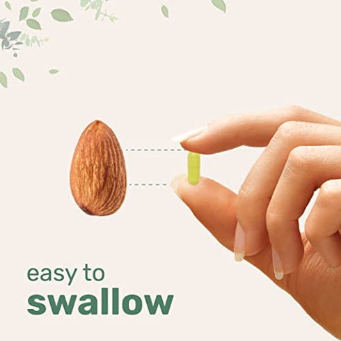 Quercetin with Zinc and Vitamin C, 200 Capsules, 3 in 1 Formula, Quercetin 500mg | Zinc 50mg (Picolinate, Citrate, Glycinate, Gluconate) | Vitamin C 500mg, Complete Immune Support - 100 Servings