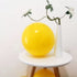 Blush Yellow Balloon Garland Kit Ivory Lemon Yellow Pastel Latex Gold Balloon Party For Baby Shower Gruaduation Wendding Decoration
