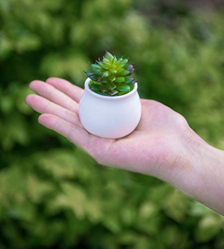 Dahey Mini Macrame Plant Car Accessories Rear View Mirrior Charm Cute Hanging Rearview Car Decor Boho Hanger with Artificial Succulent Plants for Plant Lover, 2 Pcs, 10.5 inch, White