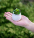 Dahey Mini Macrame Plant Car Accessories Rear View Mirrior Charm Cute Hanging Rearview Car Decor Boho Hanger with Artificial Succulent Plants for Plant Lover, 2 Pcs, 10.5 inch, White