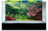 SPORN Aquarium Background, Static Cling, Tropical, 24" x 12"