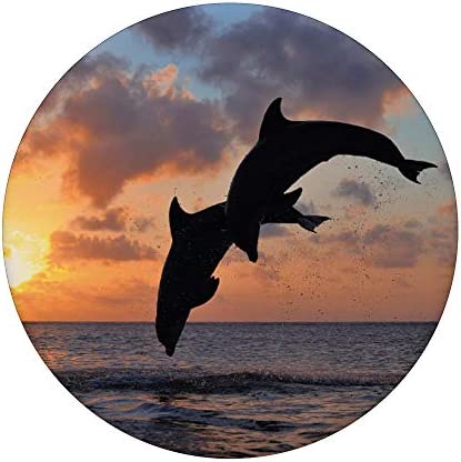 Sunset Dolphins - Cell Phone Mount & Hand Holder Knob 6460 PopSockets PopGrip: Swappable Grip for Phones & Tablets