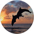 Sunset Dolphins - Cell Phone Mount & Hand Holder Knob 6460 PopSockets PopGrip: Swappable Grip for Phones & Tablets