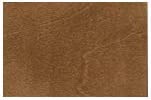Krylon K03607000 Wood Stain Earthen Brown Spray Stain