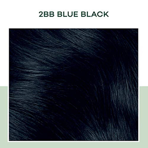 Clairol Natural Instincts Demi-Permanent Hair Dye, 2BB Blue Black Hair Color, Pack of 1