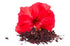 Natural Healthlife Care Hibiscus Powder(SABDARIFFA)/100% Pure, Natural For Hair,Skin (100 gm (0.22 lb) 3.5 ounces)