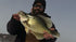 Mighty Bite Nano Kit - Worlds First Baby Baitfish Lure, Great Casting or Trolling for Trout, Panfish, Crappie, Bass