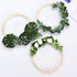 120 PCS Half Wooden Beads, Natural Split Wood Balls, Unfinished Half Round Wood Beads for DIY Projects Crafts (25mm, 20mm)