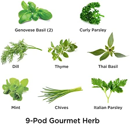AeroGarden Gourmet Herb Seed Pod Kit - Herb Seeds for AeroGarden Indoor Garden, 9-Pod
