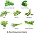 AeroGarden Gourmet Herb Seed Pod Kit - Herb Seeds for AeroGarden Indoor Garden, 9-Pod