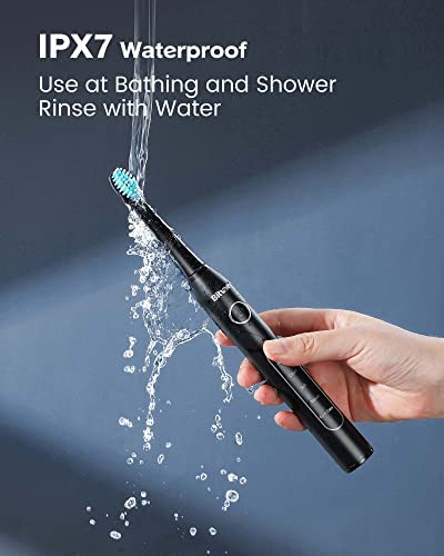 Bitvae Ultrasonic Electric Toothbrushes - Electric Toothbrush for Adults and Kids , American Dental Association Accepted , Rechargeable Travel Sonic Toothbrush with 8 Heads , Black D2