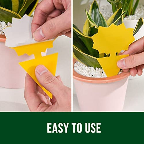 Garsum Fruit Fly Trap Yellow Sticky Fungus Gnat Killer for Indoor and Outdoor Plant Insect Catcher for White Flies,Mosquitos,Fungus Gnats,Flying Insects,12 pcs