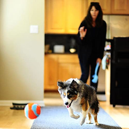 Chuckit! Indoor Ball Dog Toy, Soft Dog Toy (4.75 Inch)