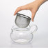 Hario ChaCha Kyusu Maru Teapot Heatproof Glass Teapot 450 mL, Glass