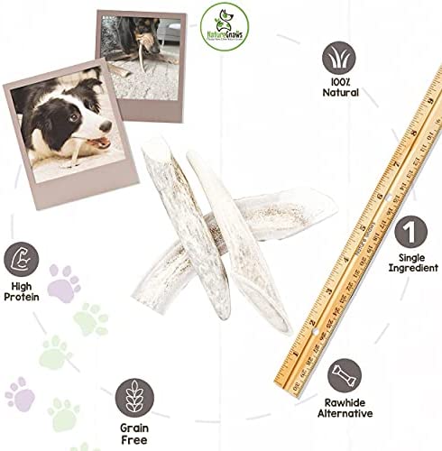 Nature Gnaws Deer Antlers for Small Dogs - Premium Natural USA Antler - Long Lasting Dog Chews for Aggressive Chewers - Mix of Split and Whole - 4-7 Inch