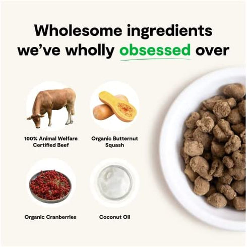 Open Farm Freeze Dried Raw Dog Food, Humanely Raised Meat Recipe with Non-GMO Superfoods and No Artificial Flavors or Preservatives, Grass Fed Beef Recipe Freeze Dried - 3.5oz