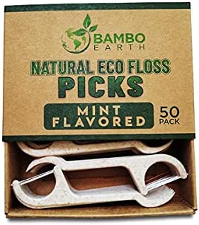 Natural Dental Floss Picks - Eco Friendly Cruelty Free & Vegan Tooth Flossers Pick Set with Biodegradable and Compostable BPA Free Handle & Zero Waste Packaging - 200 Pack (Mint Flavored)