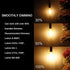 BRIMAX 6-Watt (60-Watt Equivalent), Clear, 600-Lumen, 80+ CRI, 2700K Warm White, Dimmable, B11 (E12 Candelabra Base) LED Candle Light Bulb, 6-Pack