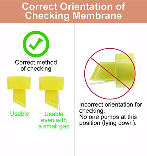 Pump in Style Tubing (Two Tubes), 2 Valves and 2 Membranes for Medela Pump in Style Advanced Breast Pump Released After Jul 2006. Replace Medela Tubing, Medela Membrane, and Medela Valve