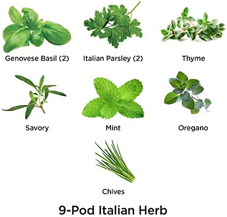AeroGarden Assorted Italian Herb Seed Pod Kit (9-pod)