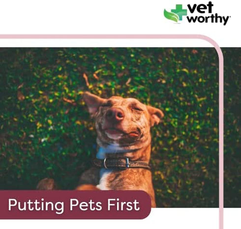 Vet Worthy Anti-Diarrhea for Dogs - Dog Supplement to Help Relieve Diarrhea, Stomach Upset, and Discomfort - Pet Digestive Health Support with Kaolin and Pectin - 4 oz