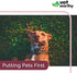 Vet Worthy Anti-Diarrhea for Dogs - Dog Supplement to Help Relieve Diarrhea, Stomach Upset, and Discomfort - Pet Digestive Health Support with Kaolin and Pectin - 4 oz