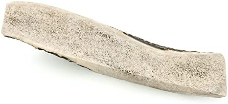 Barkworthies Hand Selected Naturally Shed Large Split Elk Antler (Single Antler) - Long Lasting, Odor Free Dog Chew for Large Dogs - No Chemical Treatments, No Added Preservatives