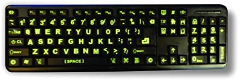 Keyboard Stickers with Luminescent Inlays Plus USB Light. Extra Large Symbols. Inlays (Not Printed). Will Not Wear or Fade. U.S. English Laptop & PC