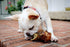 K9 Connoisseur Natural Dog Bones for Dogs Long Lasting & Large Dog Bones for Aggressive Chewers Breeds- Knuckle Bone Marrow Dog Bones Rawhide Free Dog Treats for Medium Dogs Made in USA Only (3 Pack)