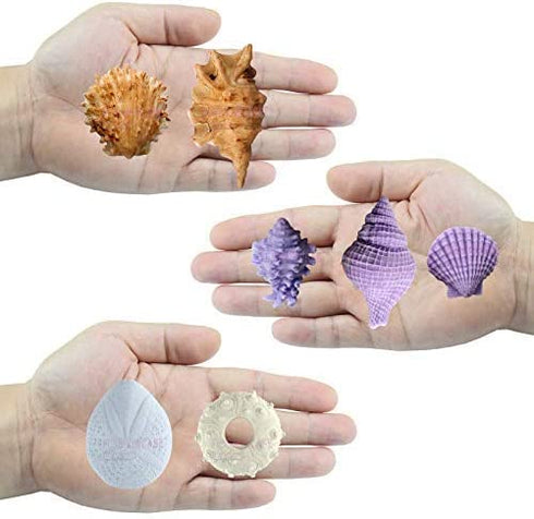 Seashell Sea Urchin Candy Silicone Molds for Fondant Cake Decoration, Cupcake Topper, Chocolate, Soap, Polymer Clay, Resin Epoxy, Concrete, Cement, Plaster Craft Projects 7-in-set Large