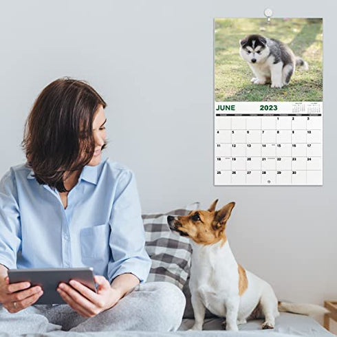 2023 Wall Calendar - Dog Pooping Calendar 2023-2024 from January 2023 - June 2024, Funny Dog Calendar Gag Gifts,11" x 17" (Open), 11" x 8.5"(Closed), Perfect 2023-2023 Calendar for White Elephant Gifts Funny