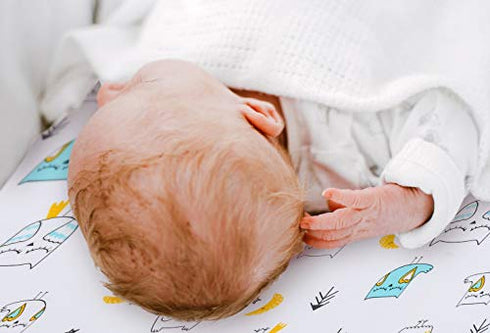 Stretchy Pack n Play Playard Sheets BROLEX 2 Pack Portable Mini Crib Sheets,Convertible Playard Mattress Cover for Baby Boys Gilrs,Ultra Soft Jersey Knit,Arrow & Owl