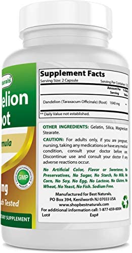 Best Naturals Dandelion Root 520 mg 250 Capsules