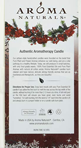 Aroma Naturals Holiday Essential Oil Scented Pillar Candle, Orange, Clove and Cinnamon, Warm Spice, 2.5 inch x 4 inch