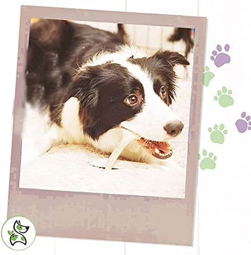 Nature Gnaws Deer Antlers for Small Dogs - Premium Natural USA Antler - Long Lasting Dog Chews for Aggressive Chewers - Mix of Split and Whole - 4-7 Inch