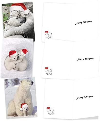 The Best Card Company Variety Pack of 10 Christmas Greeting Cards with Envelopes, Humor Holiday Assortment for Men and Women (10 Designs, 1 Each) - Bear Hugs AM6327XSG-B1x10