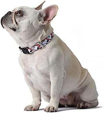 Peanuts for Pets Snoopy Dog Collar, Large | Large Dog Collar Snoopy Gifts Officially Licensed by | Red and White Peanut Snoopy Dog Collar Dog Apparel & Accessories, Multi (Model: FF15499)
