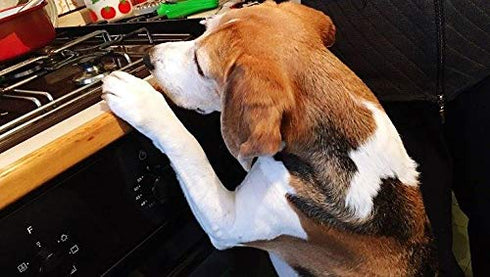 Vadiff Silicone Gas Stove Child Safety Knob Locks | Oven Knob Guard (5 Pk) (Blue) …