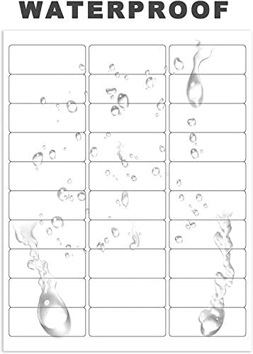 Mr-Label 1" x 2-5/8" Glossy Frosted Clear Address Labels - Waterproof and Tear-Resistant - for Inkjet & Laser Printer - for Envelope | Gift Bag | Bottle| Bar Code (10 Sheets Total 300 Labels)
