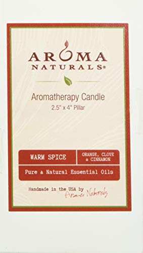 Aroma Naturals Holiday Essential Oil Scented Pillar Candle, Orange, Clove and Cinnamon, Warm Spice, 2.5 inch x 4 inch