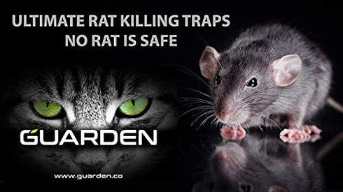 Rat Traps that Work (6 Pack) - Easy to Bait and Set, Reusable Best Rat Trap that Work Indoors and Out, Large Mouse Traps for House, Home, and Garden, Snap Trap Rat Traps Indoor Rat Trap Outdoor
