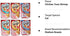 Delectables Squeeze Up Hartz Cat Treats Variety 6 Pouch Bundle of 3 Flavors; 2 Pouches of Each Flavor (Tuna, Chicken, Tuna & Shrimp; 2.0 oz Each)