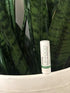 Eco Lips Lip Food - Nutrient Dense & Organic Lip Balm (Nourish)