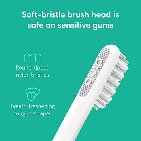 Quip Adult Electric Toothbrush - Sonic Toothbrush with Travel Cover & Mirror Mount, Soft Bristles, Timer, and Plastic Handle - Blue