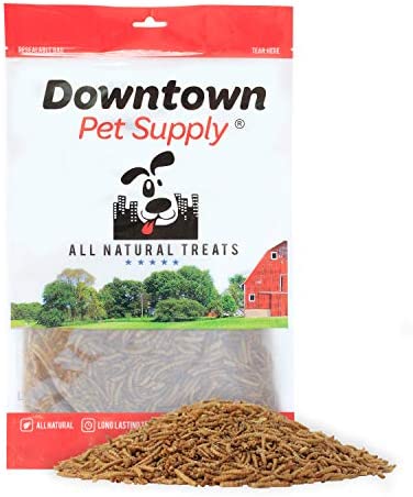 Downtown Pet Supply Dried Mealworms - Rich in Vitamin B12, B5, Protein, Fiber and Omega 3 Fatty Acids - Chicken, Duck and Bird Food - Reptile and Turtle Food - 1/2 lbs
